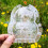2Pcs Transparent Melon Shaping Molds Multi-Function Fruit Growing 10