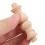 10 Pcs Woods Solid Wood Column 6.20x1.80x1.80cm Khaki 8