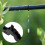 5Pcs Plastic Hole Puncher for Drip Hose Accessories in Black 9