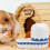 Pet Drinker Portable Water Bowl Creative Waterbowl Rabbit Waterer 5