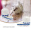 Pet Drinker Portable Water Bowl Creative Waterbowl Rabbit Waterer 11