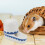 Pet Drinker Portable Water Bowl Creative Waterbowl Rabbit Waterer 6