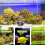 Fish Tank Mini Decoration Resin Dark Grey 1 Set 11