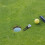 Divot Daddy Pro Golf Accessories Zinc Alloy 1pcs 4