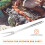 Stainless Steel Meats Fork For Picnic Buffet 1pack 7