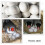 Masteelf  12 Pcs Diy Ornament Artificial Bird Eggs Props Child 11