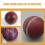Silent Pu Cricket Balls Light Brown For Indoor Training 2pcs 8