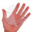 Ceramic Pottery Tools Acrylic Multi 1pack 7