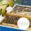 Bee Cages Beekeeping Accessory Plastic 10pack 4