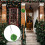 1Hangende Plastic Topiary Bal Groen Voor Rustieke 4