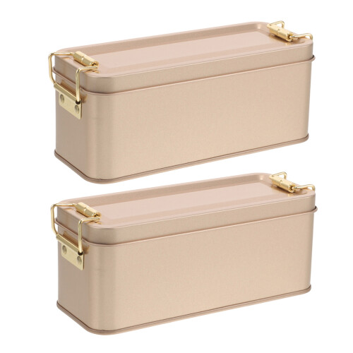 2 Pcs Iron Box Candy Storage Tin Birthday Treat Container