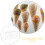 Présentoir Glace Transparent Support Sécurisé 7
