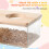 Natural Behavior Promotion Sand Bath Box Transparent Abs 1 Set 6