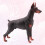 Raindrops  Simulated Doberman Pinscher Sculptures & Figurine 4
