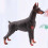 Raindrops  Simulated Doberman Pinscher Sculptures & Figurine 3