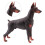 Raindrops  Simulated Doberman Pinscher Sculptures & Figurine 7