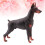 Raindrops  Simulated Doberman Pinscher Sculptures & Figurine 11