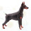 Raindrops  Simulated Doberman Pinscher Sculptures & Figurine 9