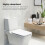 4 Rolls Novelty Toilet Paper Chemical Physics Formula Pattern Tissue 8