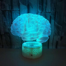 3D Illusion Brain LED Lamp Art Deco Lamp Lights LED Decoration Lamps Remote Control 7/16 Colors Change Night Light USB Powered Kids Gift Birthday Xmas