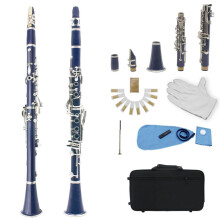 Bb Clarinet for Beginners 17 Keys Portable Black Bakelite Woodwind Instrument with 6 Rings and Accessories