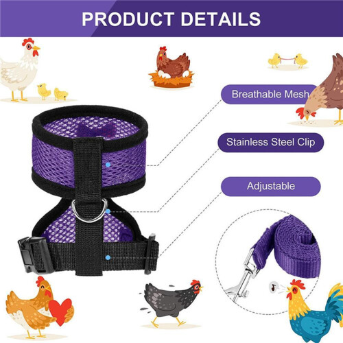 Adjustable Chicken Harness with Leash Breathable 1