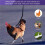 Adjustable Chicken Harness with Leash Breathable 8