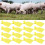 20 Set Livestock Identification Blank Ear Tag for 9