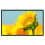 H70 70'' Portable Projector Screen HD 16:9 White 5