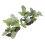 2pcs Aquarium Plants Decorations High Simulation 5