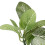 2pcs Aquarium Plants Decorations High Simulation 14