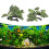 2pcs Aquarium Plants Decorations High Simulation 11