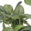2pcs Aquarium Plants Decorations High Simulation 13