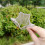 4pcs Vegetable Shaping Cucumber Clear Vegetable Shaper 8