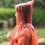 6 Pcs Disposable Raincoat Camping Things 6