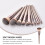 10 Pcs Makeup Brushes Kit Cosmetic Brushes Makeup Tool Cosmetics Brush 2
