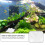 Transparent Acrylic Shrimp Feeder Bowl Material For Fish 10
