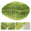 Floor Mat Foot Machine Washable Rug Jungle Themed 3