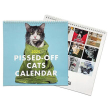 Pissed-Off Cats Calendar 2025 Hanging Wall Calendar Funny 12 Monthly Planner Organiser Home Decor