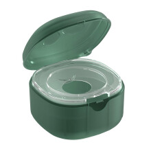 Frosted Dummy Holder Case for Baby Pacifiers, Dustproof Matte Clear Storage Box for Newborn Teething Rings, Green