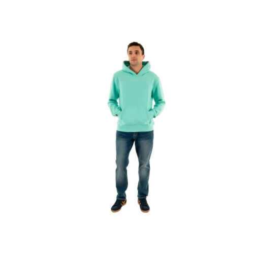 Superdry Superdry Essential Logo Kapuzenpullover - Hellgrün 1