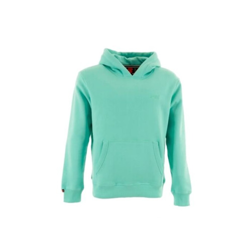 Superdry Superdry Essential Logo Kapuzenpullover - Hellgrün 2