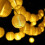 Led Solar Fairy Lights 8 Metres 30 Lanterns 2