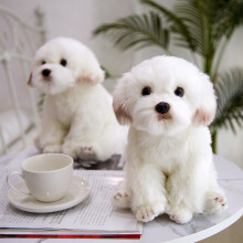 (38x21x26cm maltais) Simulation chien maltais en peluche animaux en peluche de haute qualité réalist