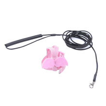Parrot Flying Rope with Adjustable Harness, Elastic Flight Training Line for Outdoor Use, Durable and Sweet for Birds