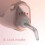 Ordo Sonic+ Rose Gold Water Flosser 5