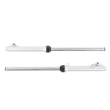 Pair of Front Fork Shocks Suspension Set