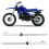 Pair of Front Fork Shocks Suspension Set 9