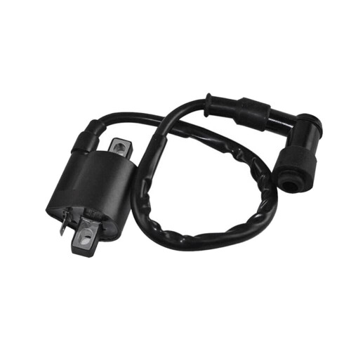 Motorcycle Ignition Coil for 125cc 150cc 200cc Scooters, Engine ...
