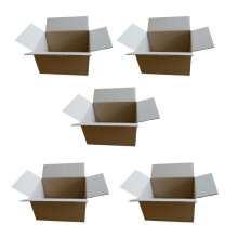 5 pequeñas cajas de embalaje 16 x 12 x 11 cm